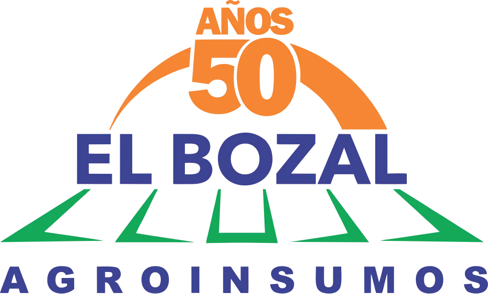 Casa Cigal Logo + Slogan